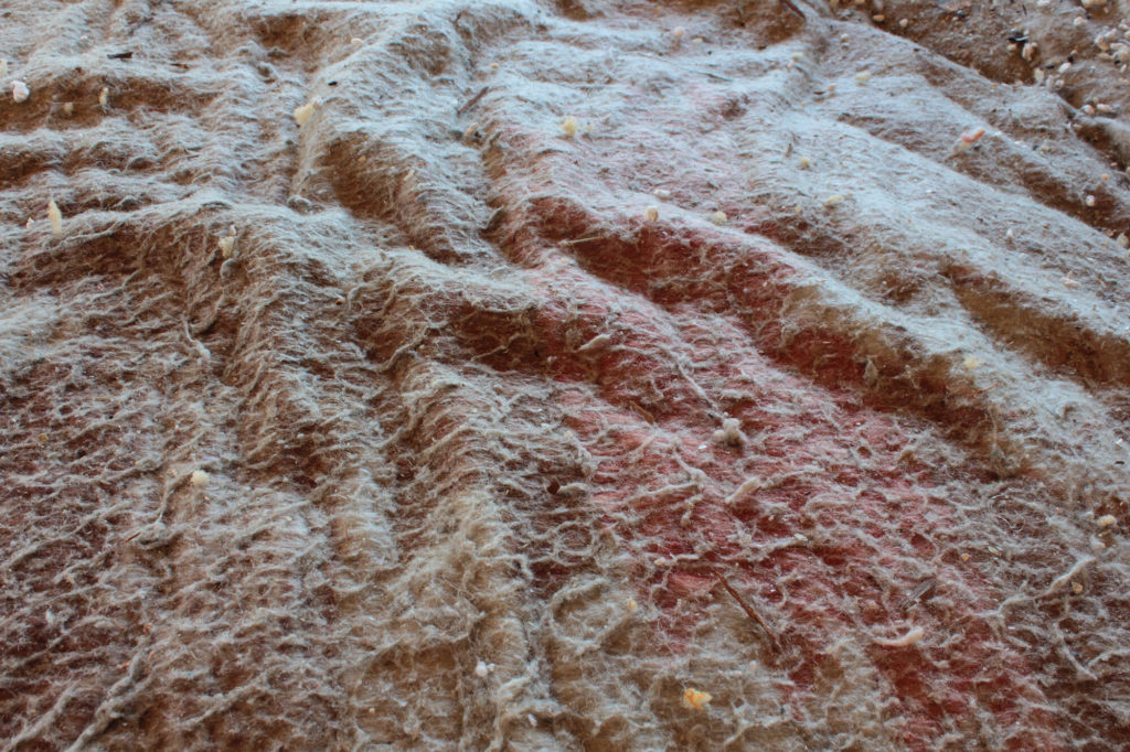 The surface of a blanket photographed by artist Clayton Porter from a obtuse angle that eludes to a mountainous topographical landscape.