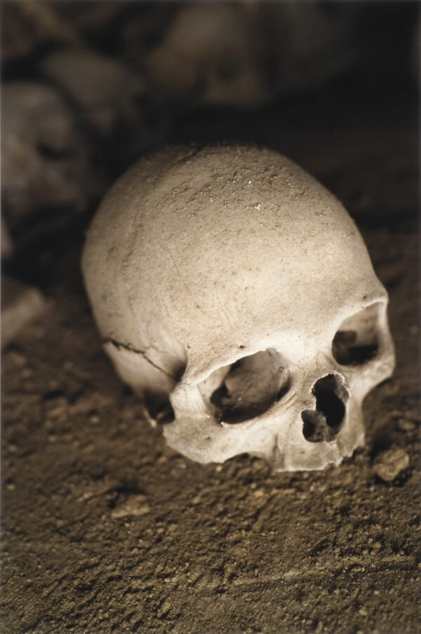 Human skull sitting on the dirt floor of the Cimitero delle Fontanelle ossuary in Napoli Italy.