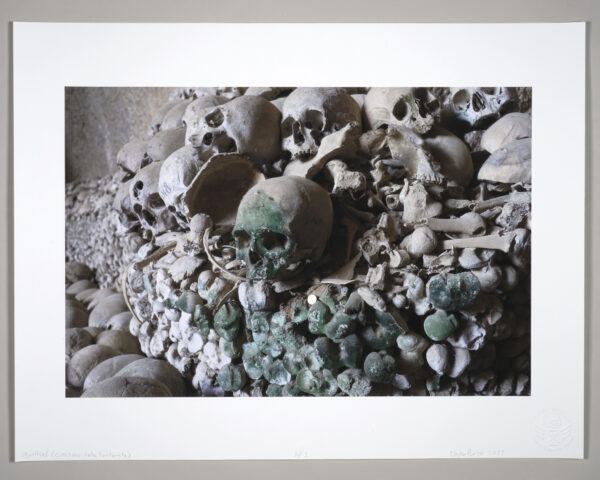 Unframed photograph printed with archival pigment ink on acid free Italian rag paper of a human skull by artist Clayton Porter.