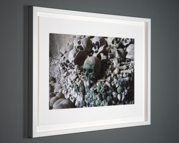 Framed photograph printed with archival pigment ink on acid free Italian rag paper of a human skull by artist Clayton Porter.